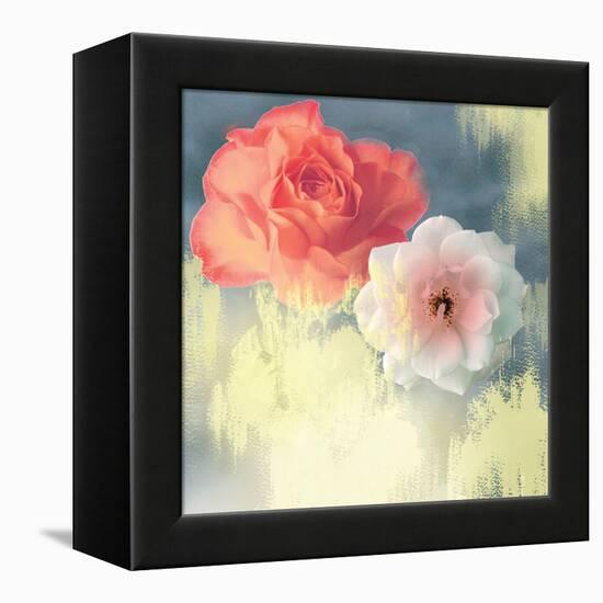 Softness-Andrew Michaels-Framed Stretched Canvas