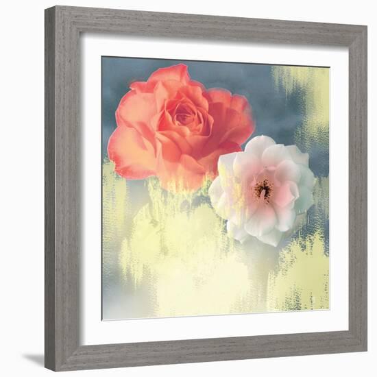 Softness-Andrew Michaels-Framed Premium Giclee Print