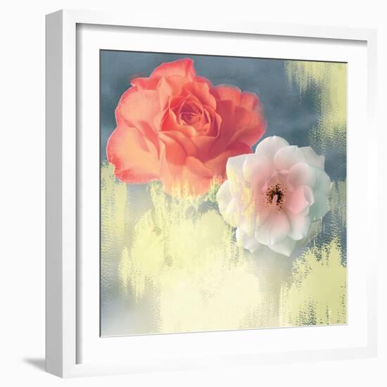 Softness-Andrew Michaels-Framed Premium Giclee Print