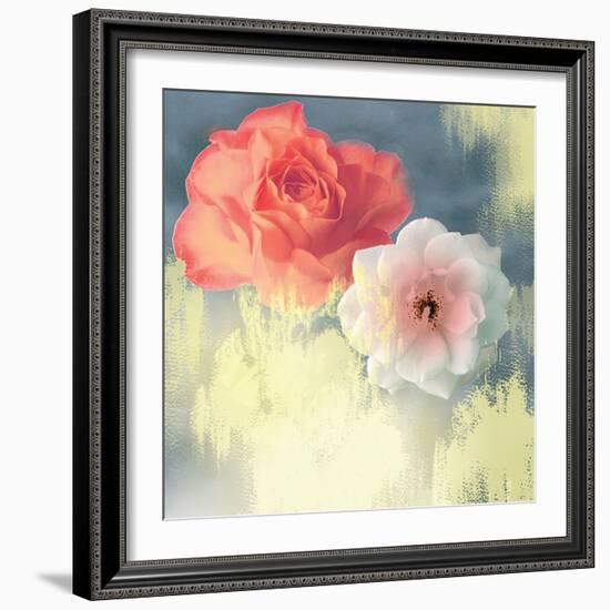 Softness-Andrew Michaels-Framed Premium Giclee Print