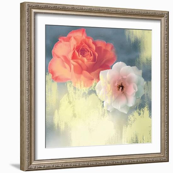 Softness-Andrew Michaels-Framed Art Print