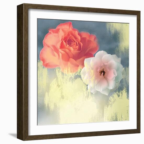 Softness-Andrew Michaels-Framed Art Print