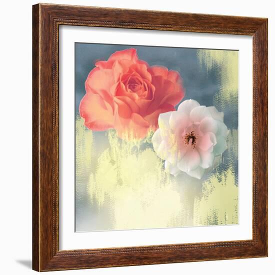 Softness-Andrew Michaels-Framed Art Print