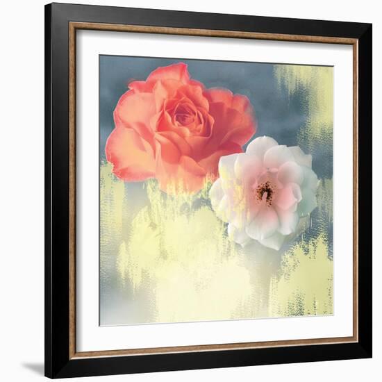 Softness-Andrew Michaels-Framed Art Print