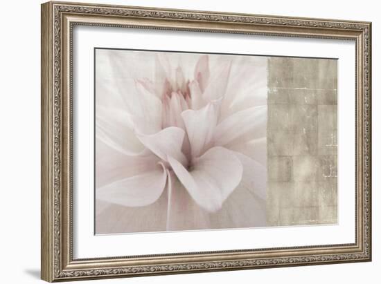 Softness-Andrew Michaels-Framed Art Print