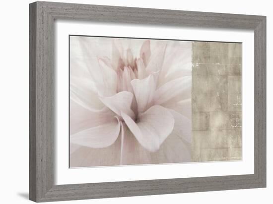 Softness-Andrew Michaels-Framed Art Print