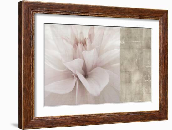 Softness-Andrew Michaels-Framed Art Print