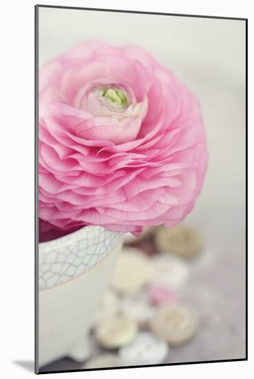 Softy Elegant II-Sarah Gardner-Mounted Photographic Print