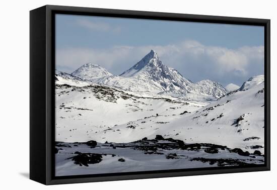 Sognefjell mountains, above Skjolden-Tony Waltham-Framed Premier Image Canvas