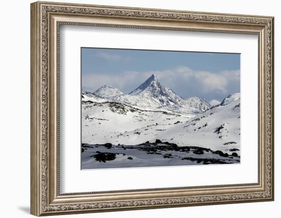 Sognefjell mountains, above Skjolden-Tony Waltham-Framed Photographic Print