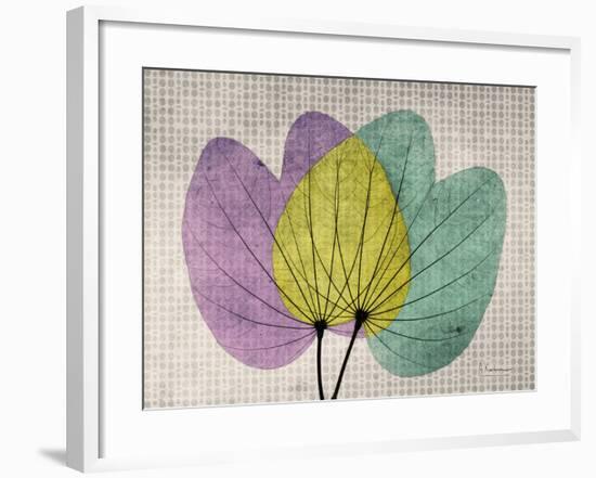 SoHo Orchid 1-Albert Koetsier-Framed Premium Giclee Print