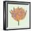 Soho Tulip III-Zachary Alexander-Framed Art Print