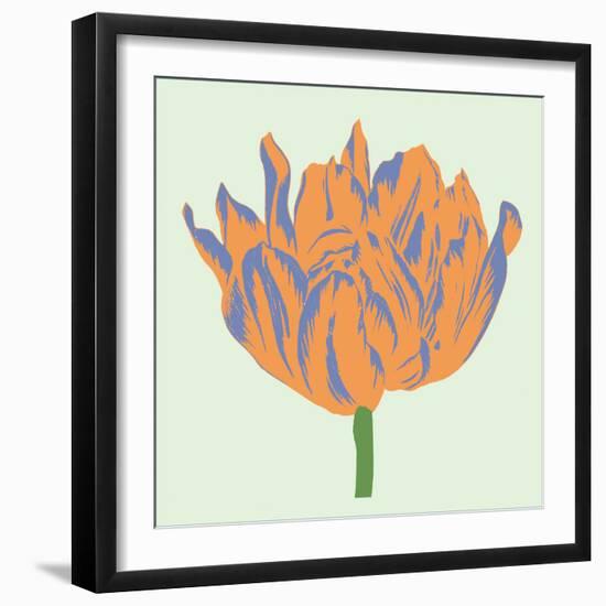 Soho Tulip III-Zachary Alexander-Framed Art Print