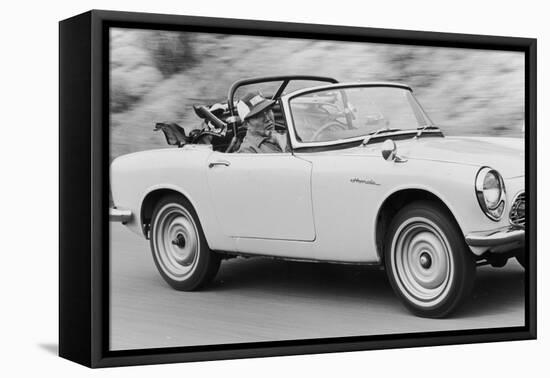 Soichiro Honda Driving Honda Convertible, Tokyo, Japan, 1967-Takeyoshi Tanuma-Framed Premier Image Canvas