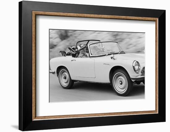 Soichiro Honda Driving Honda Convertible, Tokyo, Japan, 1967-Takeyoshi Tanuma-Framed Photographic Print