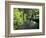 Sol Duc Creek in Old-Growth Rainforest, Olympic National Park, Washington, USA-Stuart Westmoreland-Framed Photographic Print