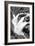 Sol Duc Falls I BW-Douglas Taylor-Framed Photo