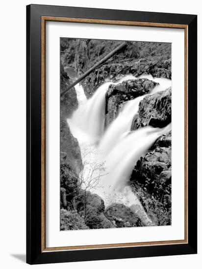 Sol Duc Falls I BW-Douglas Taylor-Framed Photo