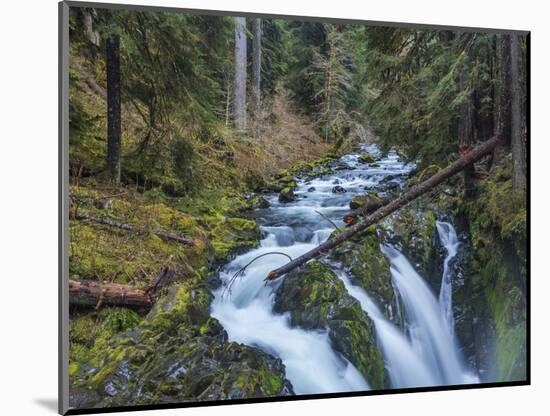 Sol Duc Falls in Olympic National Park, Washington State, USA-Chuck Haney-Mounted Photographic Print