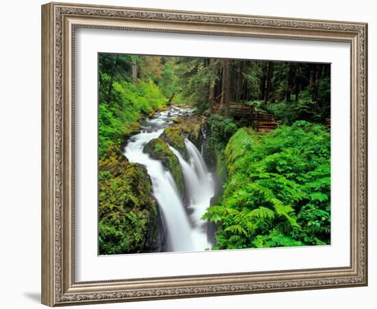 Sol Duc Falls in Olympic National Park, Washington, USA-Chuck Haney-Framed Photographic Print