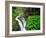 Sol Duc Falls in Olympic National Park, Washington, USA-Chuck Haney-Framed Photographic Print