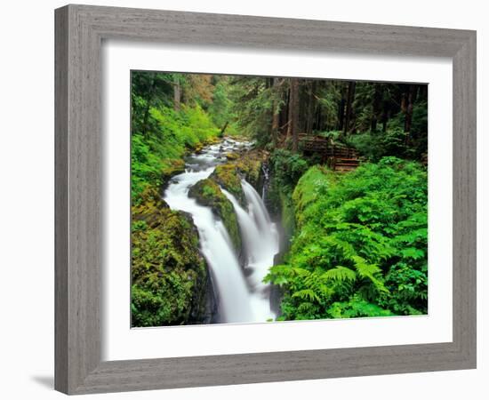 Sol Duc Falls in Olympic National Park, Washington, USA-Chuck Haney-Framed Photographic Print