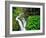 Sol Duc Falls in Olympic National Park, Washington, USA-Chuck Haney-Framed Photographic Print