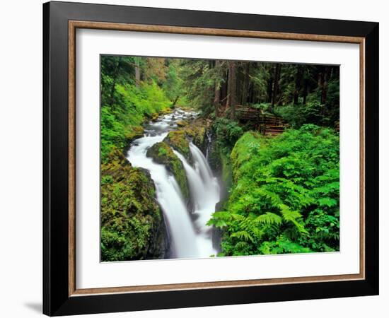 Sol Duc Falls in Olympic National Park, Washington, USA-Chuck Haney-Framed Photographic Print