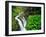 Sol Duc Falls in Olympic National Park, Washington, USA-Chuck Haney-Framed Photographic Print