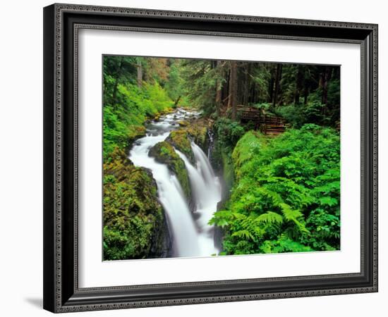 Sol Duc Falls in Olympic National Park, Washington, USA-Chuck Haney-Framed Photographic Print