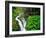 Sol Duc Falls in Olympic National Park, Washington, USA-Chuck Haney-Framed Photographic Print