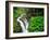 Sol Duc Falls in Olympic National Park, Washington, USA-Chuck Haney-Framed Photographic Print