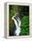 Sol Duc Falls in Olympic National Park, Washington, USA-Chuck Haney-Framed Premier Image Canvas