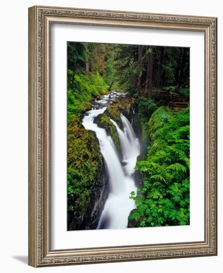 Sol Duc Falls in Olympic National Park, Washington, USA-Chuck Haney-Framed Photographic Print