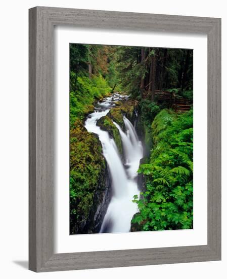 Sol Duc Falls in Olympic National Park, Washington, USA-Chuck Haney-Framed Photographic Print