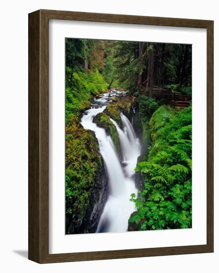 Sol Duc Falls in Olympic National Park, Washington, USA-Chuck Haney-Framed Photographic Print