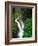 Sol Duc Falls in Olympic National Park, Washington, USA-Chuck Haney-Framed Photographic Print