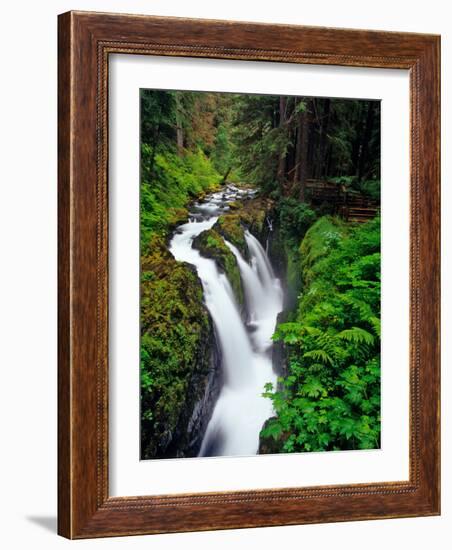 Sol Duc Falls in Olympic National Park, Washington, USA-Chuck Haney-Framed Photographic Print