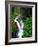 Sol Duc Falls in Olympic National Park, Washington, USA-Chuck Haney-Framed Photographic Print