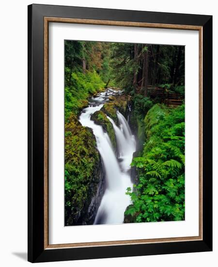 Sol Duc Falls in Olympic National Park, Washington, USA-Chuck Haney-Framed Photographic Print