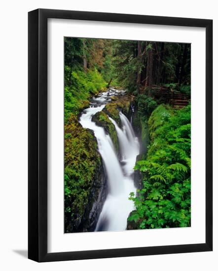 Sol Duc Falls in Olympic National Park, Washington, USA-Chuck Haney-Framed Photographic Print