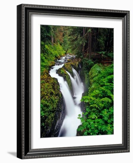 Sol Duc Falls in Olympic National Park, Washington, USA-Chuck Haney-Framed Photographic Print