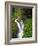 Sol Duc Falls in Olympic National Park, Washington, USA-Chuck Haney-Framed Photographic Print