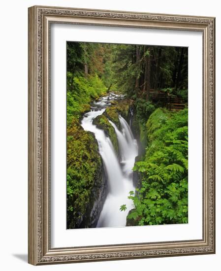 Sol Duc Falls in Olympic National Park, Washington, USA-Chuck Haney-Framed Photographic Print