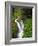 Sol Duc Falls in Olympic National Park, Washington, USA-Chuck Haney-Framed Photographic Print