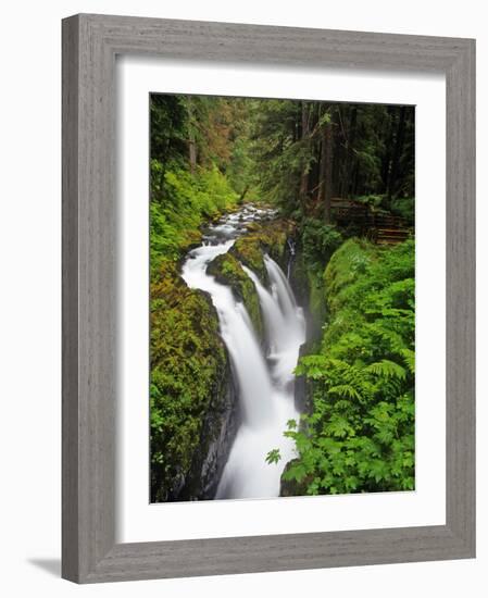 Sol Duc Falls in Olympic National Park, Washington, USA-Chuck Haney-Framed Photographic Print