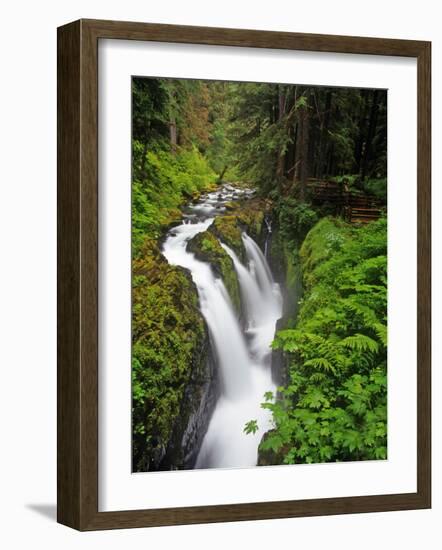 Sol Duc Falls in Olympic National Park, Washington, USA-Chuck Haney-Framed Photographic Print