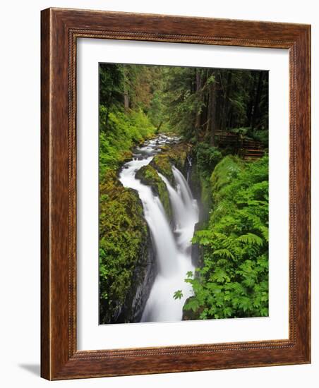 Sol Duc Falls in Olympic National Park, Washington, USA-Chuck Haney-Framed Photographic Print