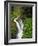 Sol Duc Falls in Olympic National Park, Washington, USA-Chuck Haney-Framed Photographic Print