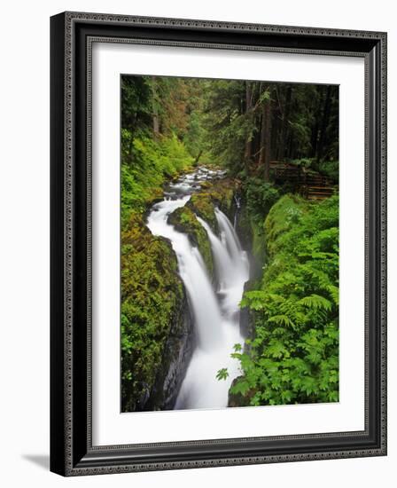 Sol Duc Falls in Olympic National Park, Washington, USA-Chuck Haney-Framed Photographic Print